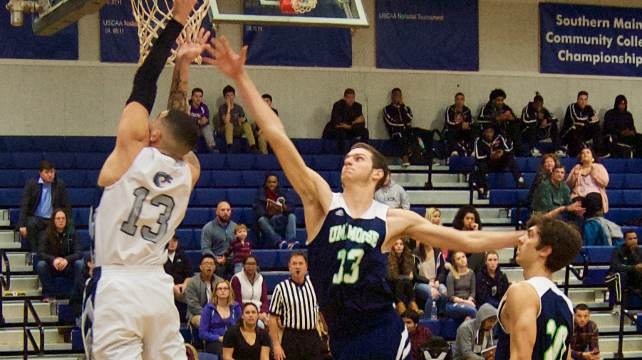 Seawolves dominate on home court
