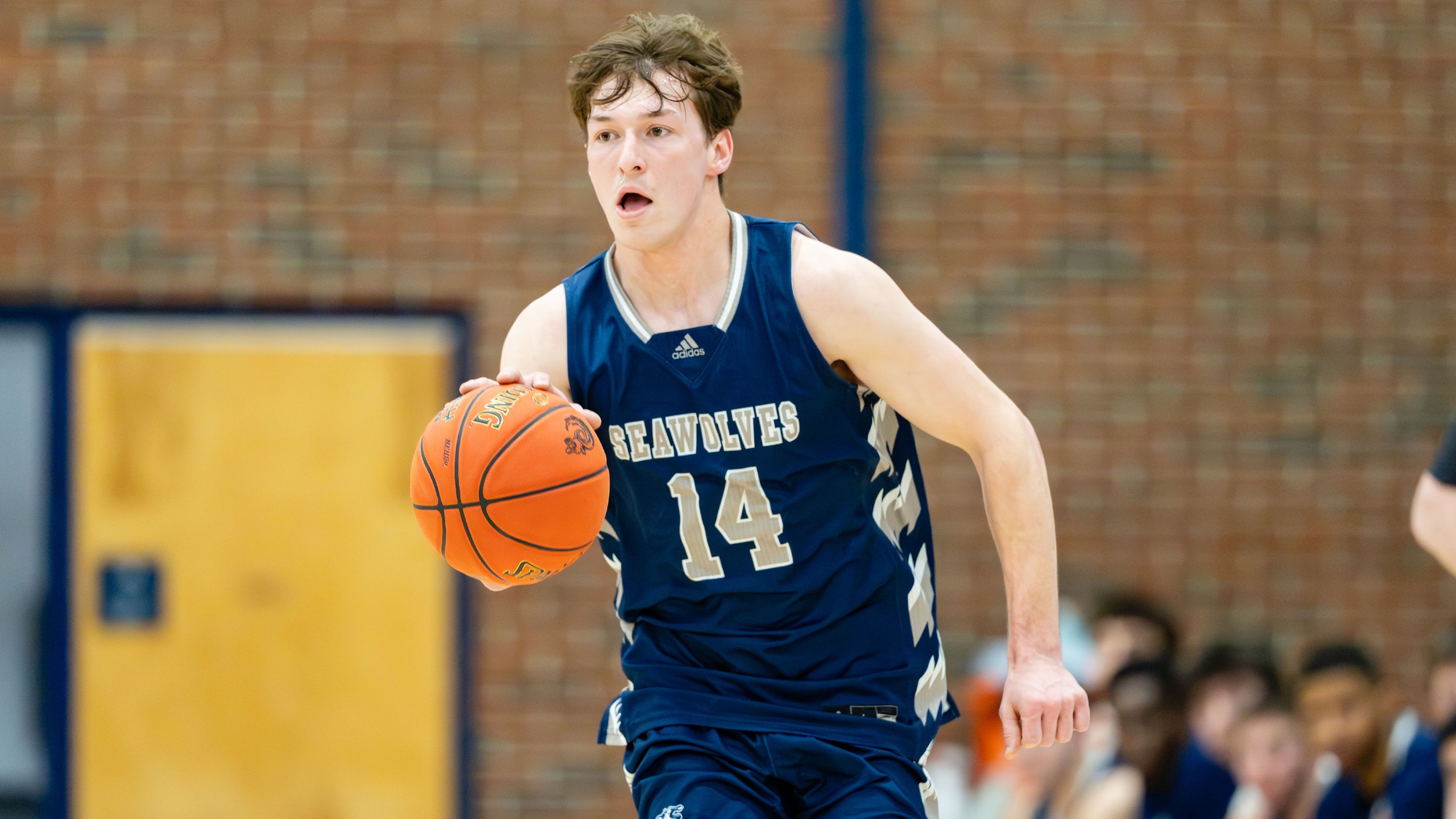 Hold Your Horses: Seawolves Produce Longest Win Streak in Program History